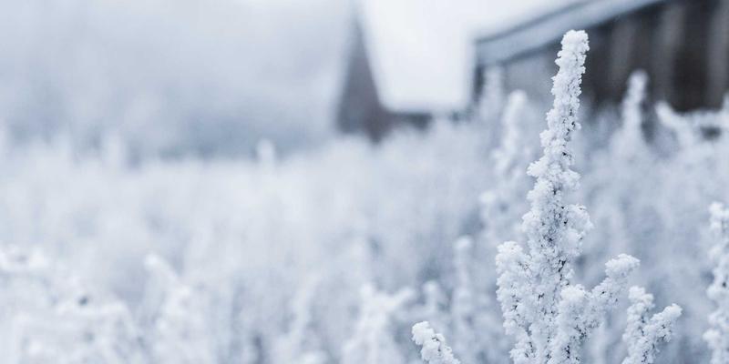紫色梦境与蒸汽波美学：一站式婚礼中捕捉色彩与情感的摄影摄像全攻略