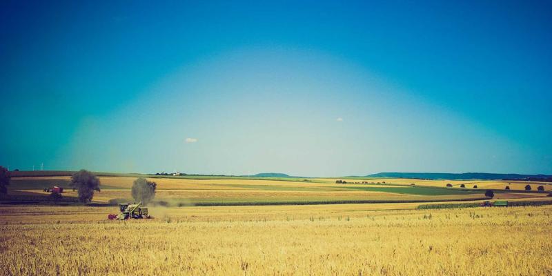 紫色梦境光影魔法：一站式婚庆灯光音响进阶指南，打造层次感氛围婚礼