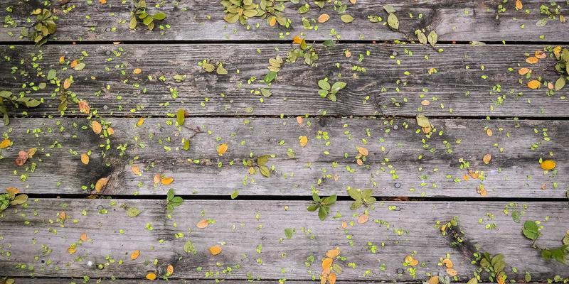 紫色秘境:如何将紫色系与户外自然风完美融合,打造一站式梦幻婚礼