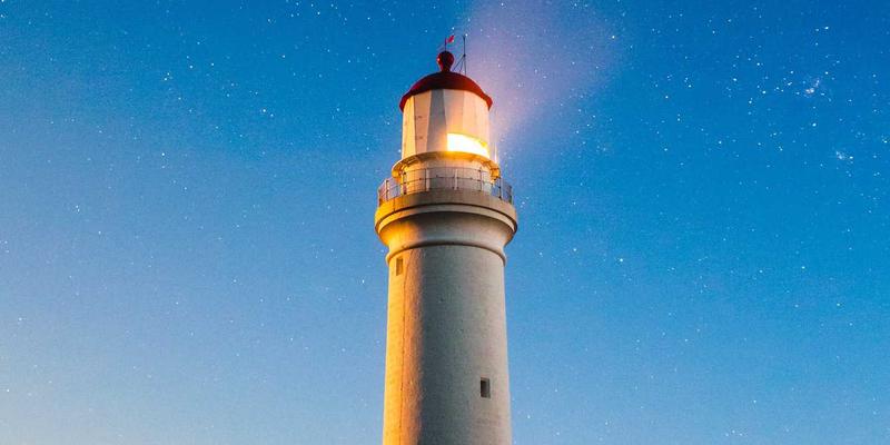 紫色迷境:蒸汽波婚礼中的花艺密码——不同紫色花材的寓意、季节性与高级搭配全解析