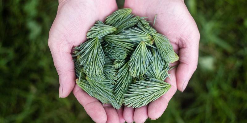 蒸汽波婚礼时代:婚庆四大金刚避坑指南与高标准筛选法则