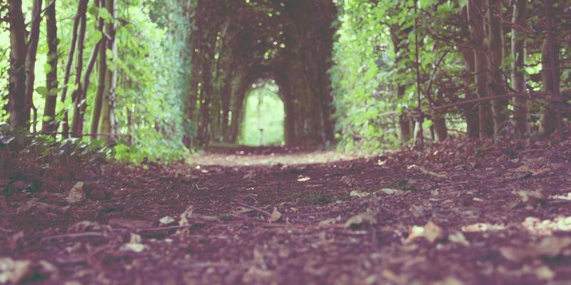 蒸汽波遇上紫罗兰：四大金刚如何协同打造一场无缝衔接的紫色梦幻婚礼